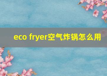 eco fryer空气炸锅怎么用